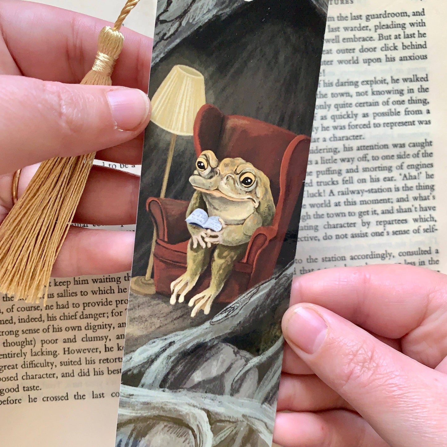 Reading Toad - A Little Love Bookshop