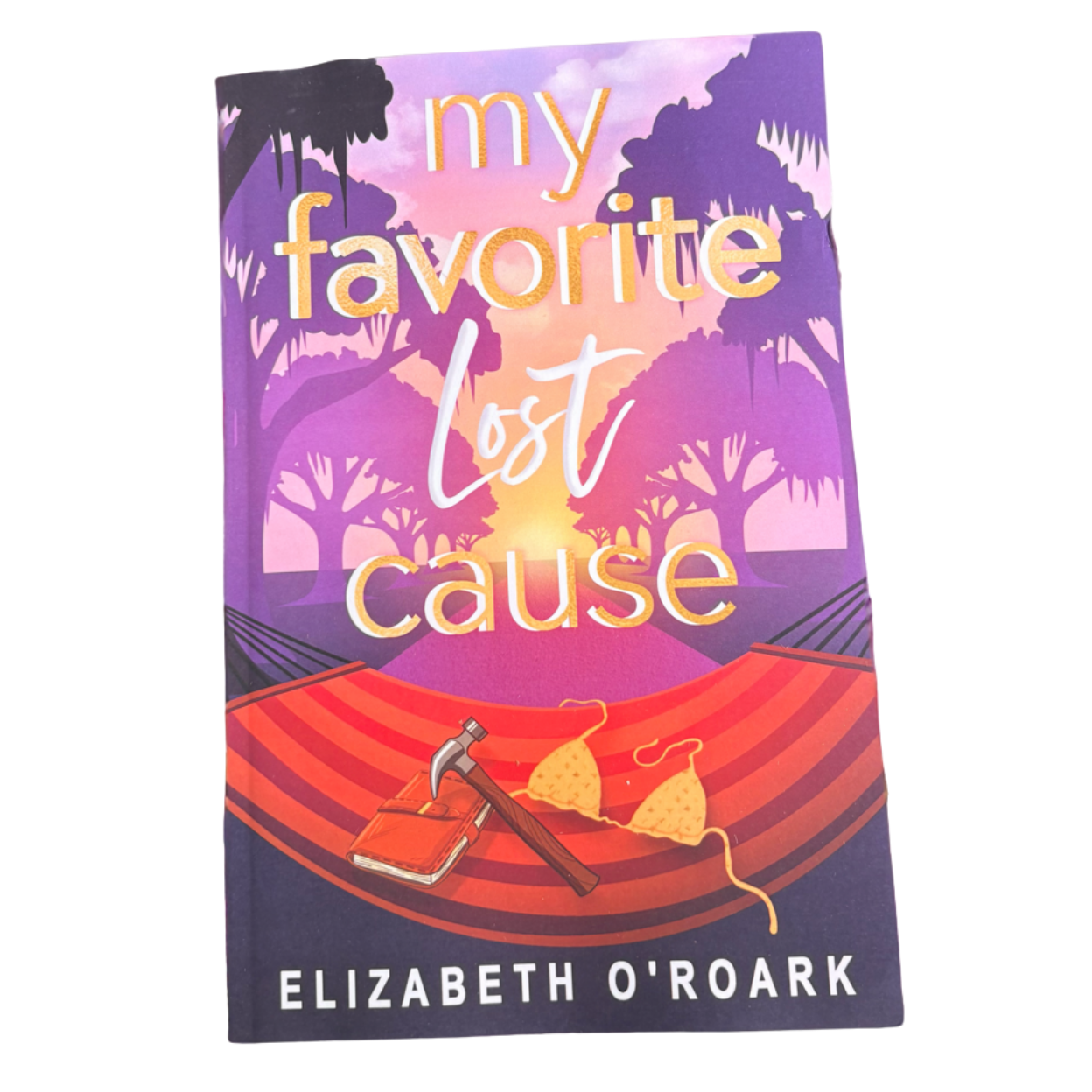 My Favorite Lost Cause (The Favorites #2)