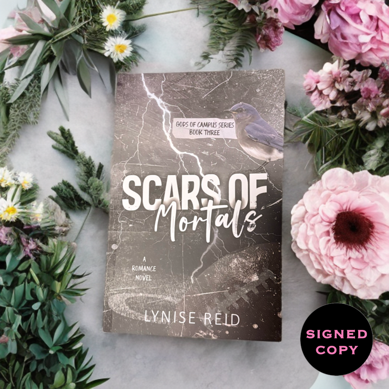 Scars of Mortals (Gods of Campus, #3)