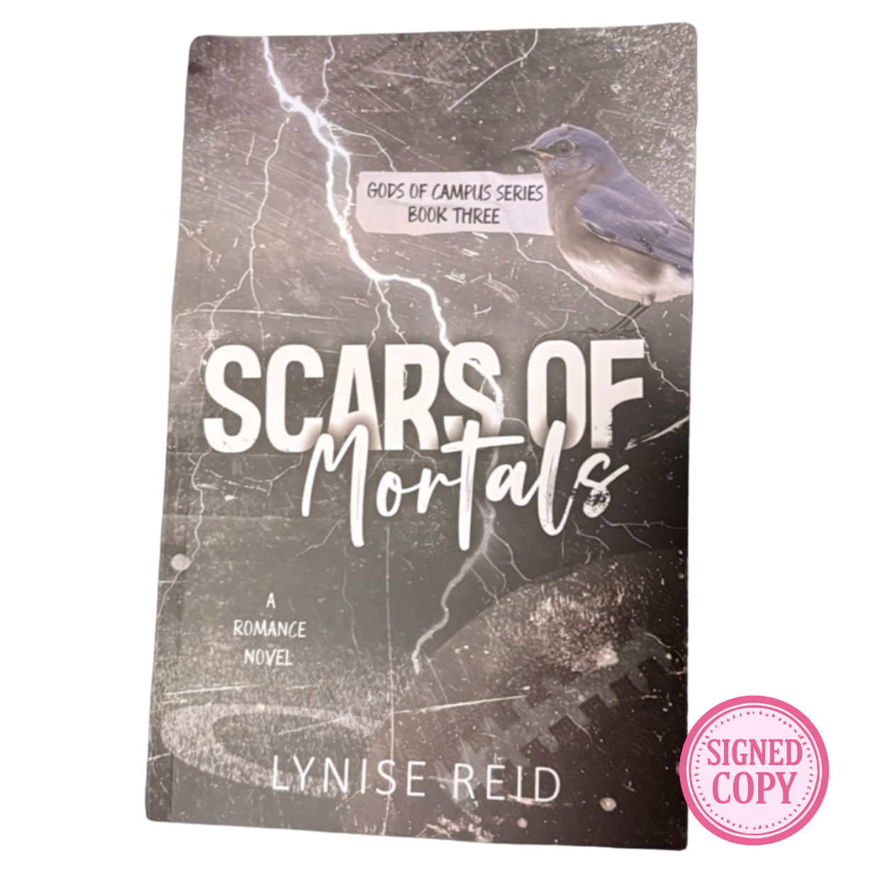 Scars of Mortals (Gods of Campus, #3)