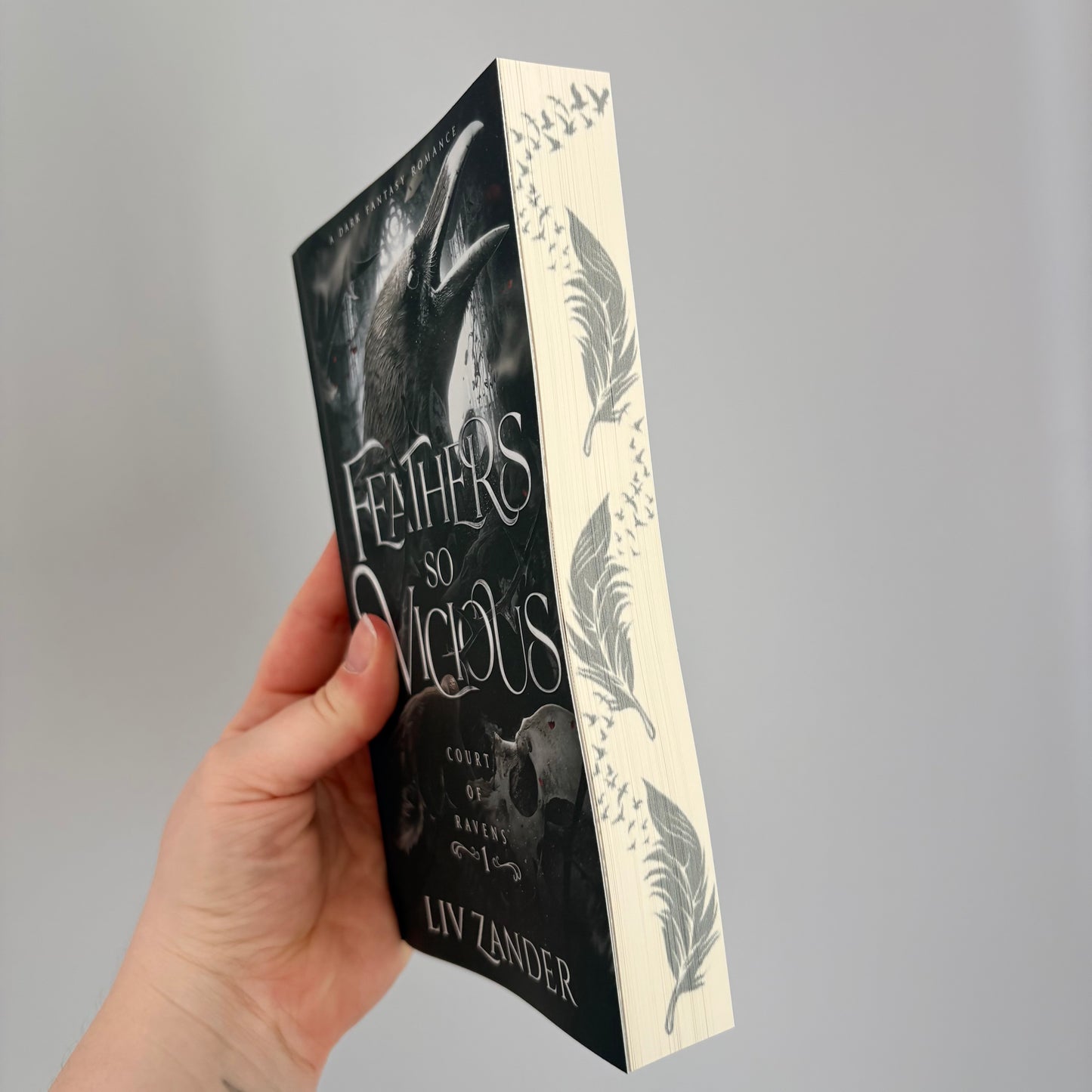 Feathers so Vicious: A Dark Fantasy Romance (Court of Ravens #1)