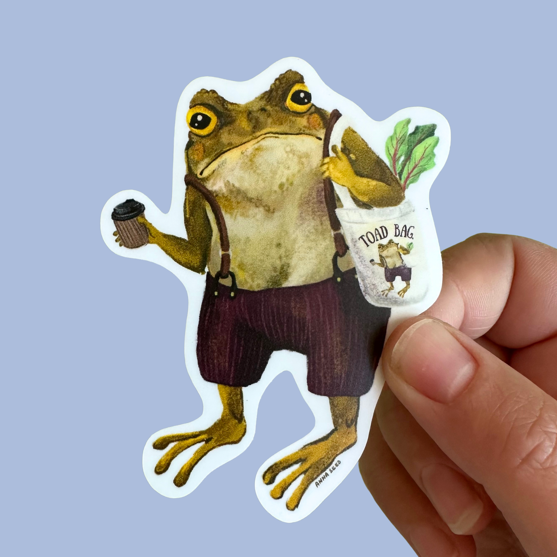Grumpy Toad - A Little Love Bookshop