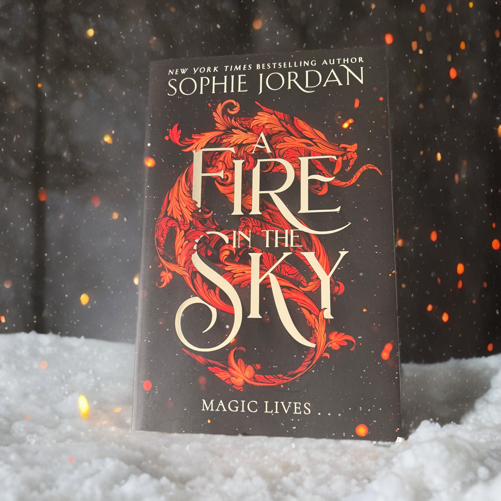 A Fire in the Sky - A Little Love Bookshop