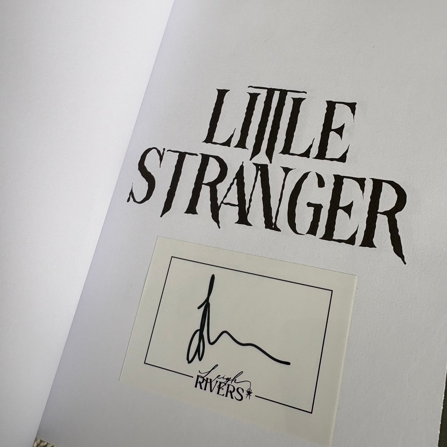 Little Stranger (The Web of Silence Duet #1): A Dark Taboo Romance