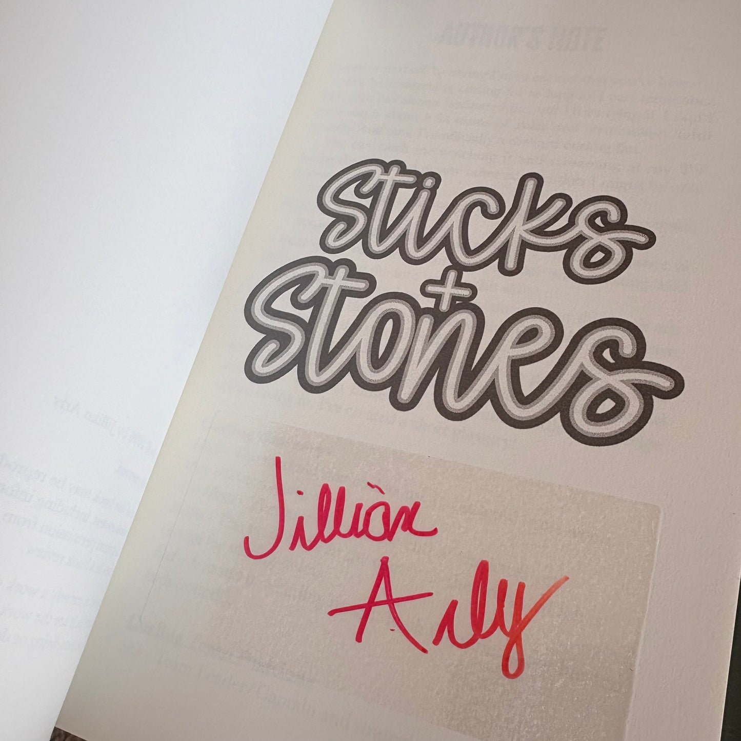 Sticks & Stones (A Winter Olympics Novella)